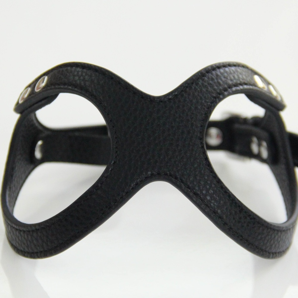 To Beg for Accessories and Treats Premium Vegan Dog Harness Size Medium